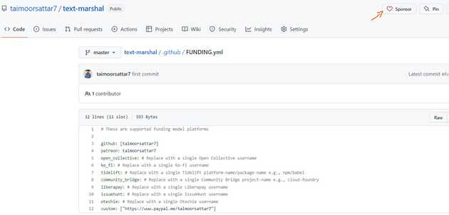 Sponsor Github